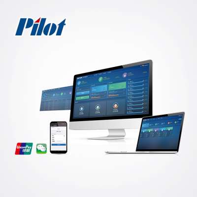 PILOT Online Prepaid Digital Smart Meter by visa card